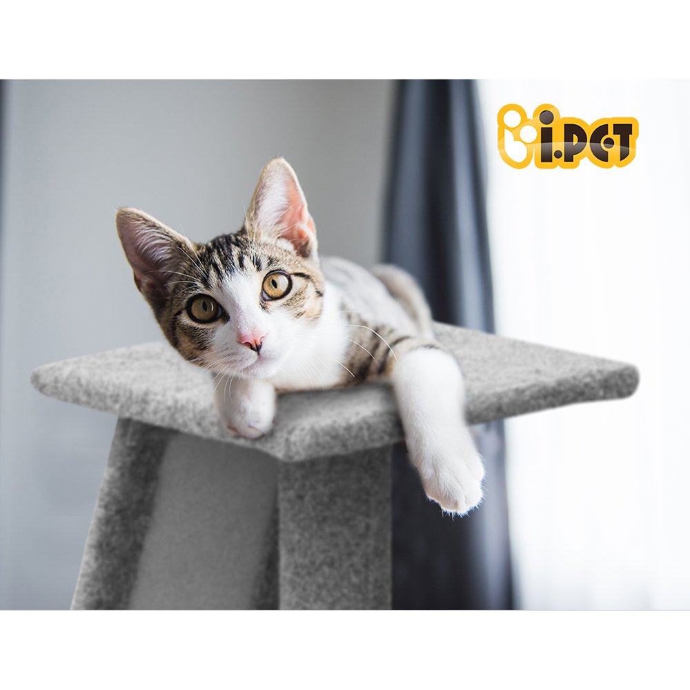 i.Pet Cat Tree 82cm Scratching Post Tower Scratcher Condo Trees Climb House - Image 7