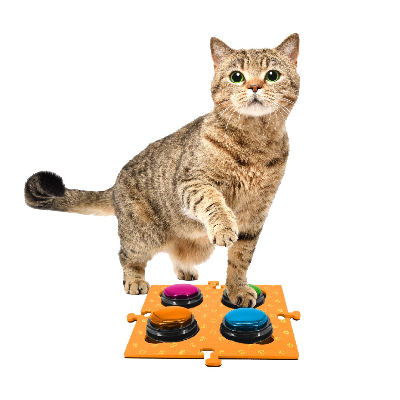 Tech4Pets Orange Mat 2-Pack for Talking Buttons & Floor - Image 2