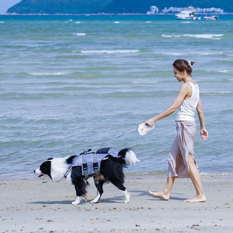 pet products Pet Strong Spring Telescopic Traction Device - Image 7