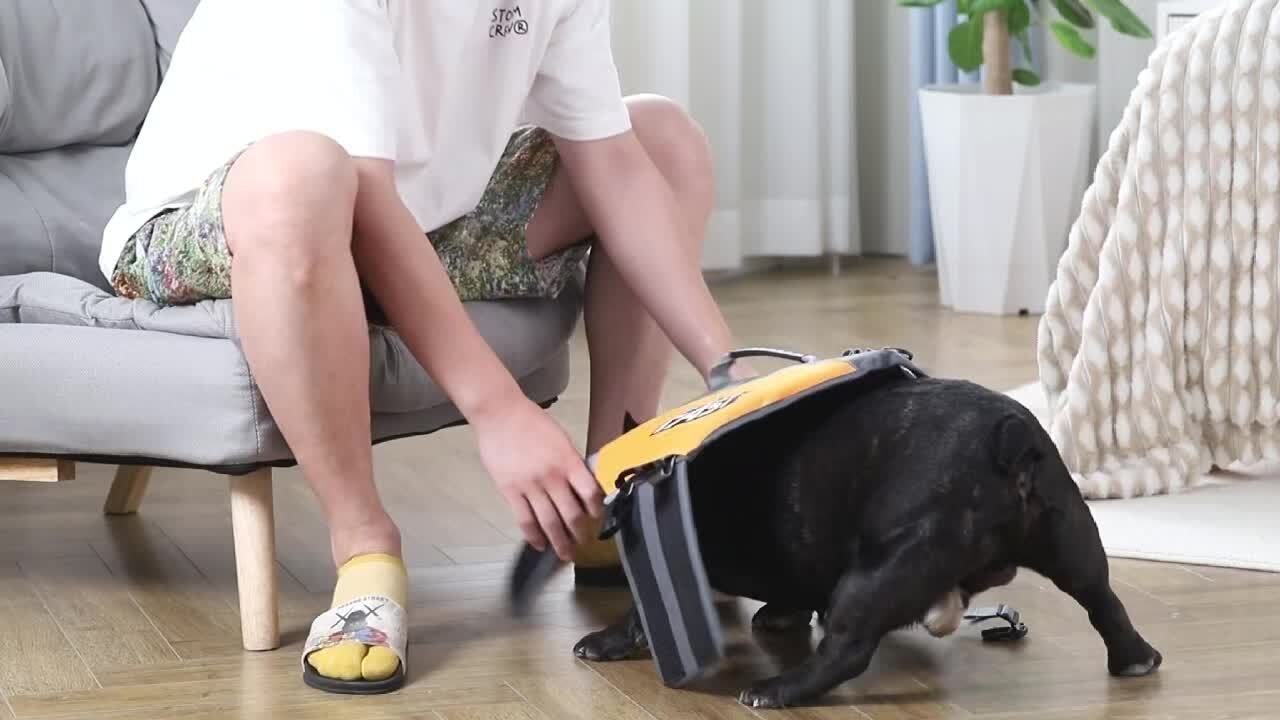 Safe Playtime: The ultimate dog buoyancy vest designed for water adventures. Pet life jacket. Christmas, Black Friday pet products - Image 10