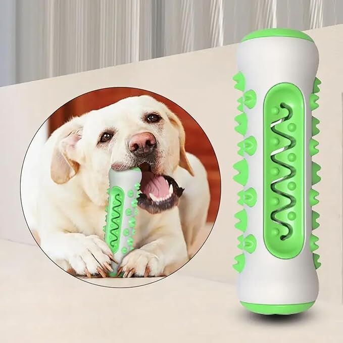 Dog Chew Toy: Durable Nylon & TPR, Teeth Cleaning Bone for Aussie Dogs - Image 2