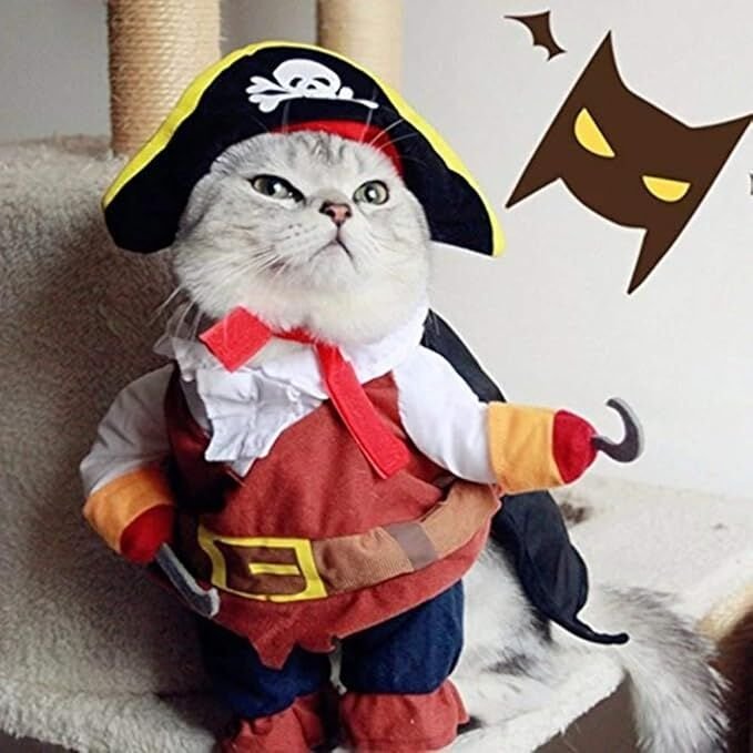 pet products New Funny Pet Clothes Pirate Dog Cat Costume Suit Corsair Dressing up Party Apparel Clothing for Cat Dog Plus Hat - Image 5