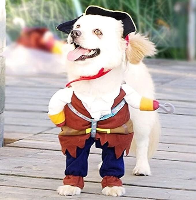 pet products New Funny Pet Clothes Pirate Dog Cat Costume Suit Corsair Dressing up Party Apparel Clothing for Cat Dog Plus Hat - Image 3