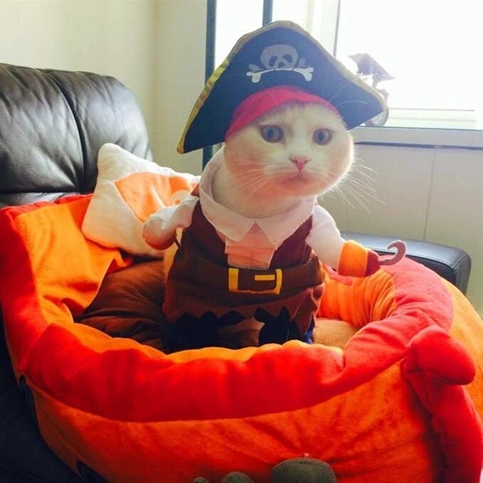 pet products New Funny Pet Clothes Pirate Dog Cat Costume Suit Corsair Dressing up Party Apparel Clothing for Cat Dog Plus Hat - Image 2