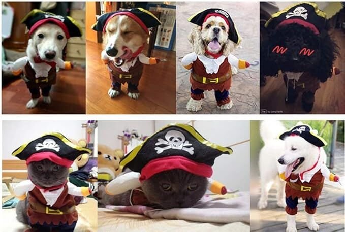 pet products New Funny Pet Clothes Pirate Dog Cat Costume Suit Corsair Dressing up Party Apparel Clothing for Cat Dog Plus Hat - Image 4