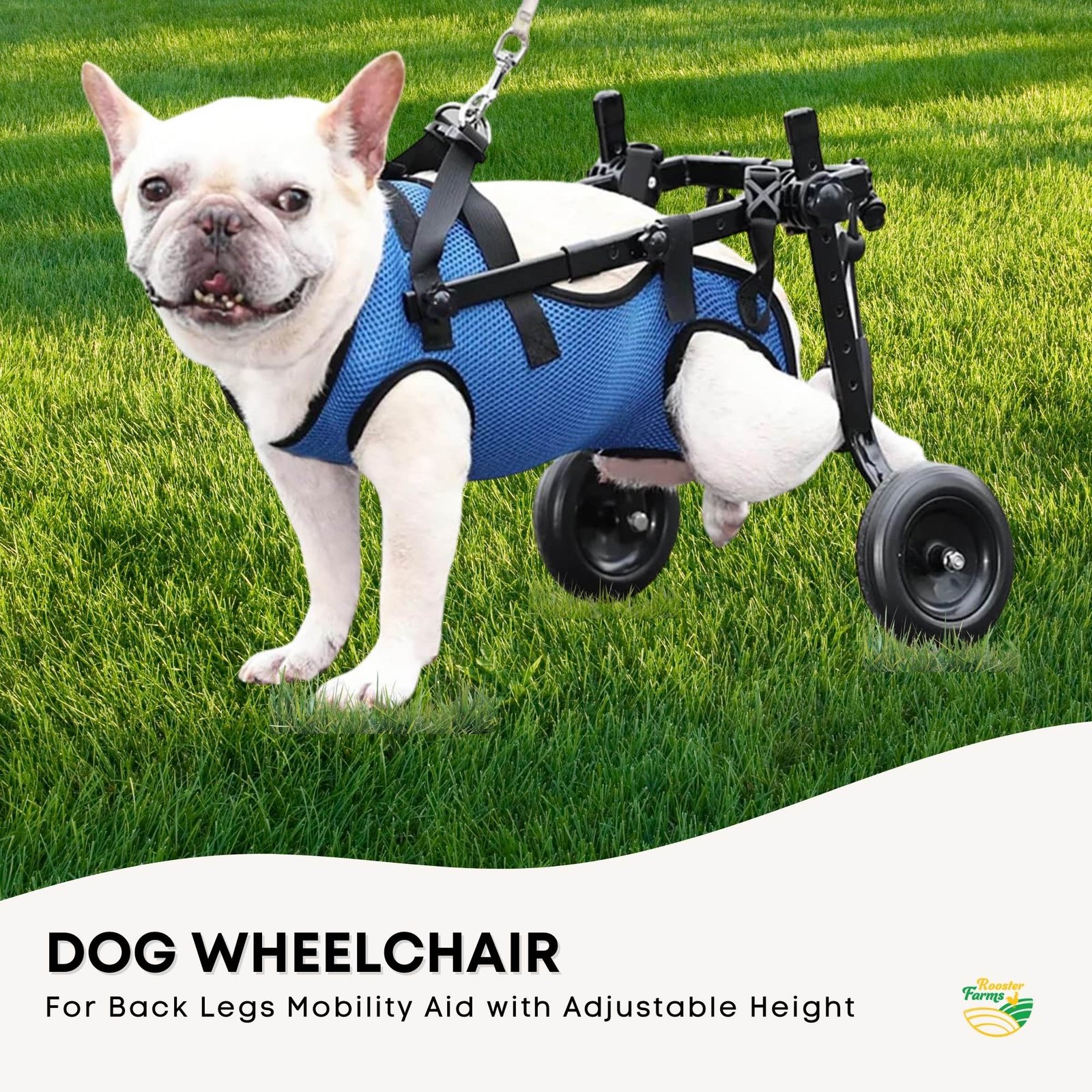 Rooster Farms Little Dog Wheelchair Medium Harness - Adjustable Back Leg Aid - Image 3