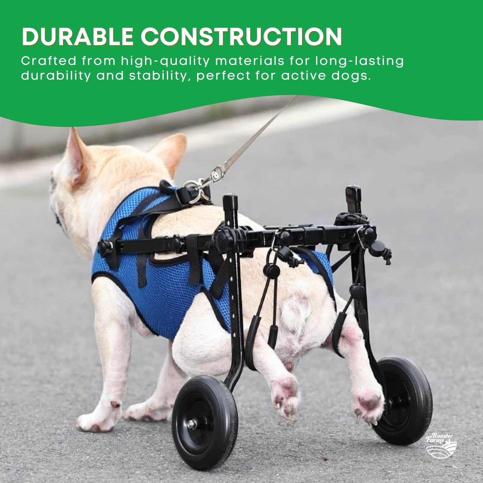 Rooster Farms Little Dog Wheelchair Medium Harness - Adjustable Back Leg Aid - Image 6