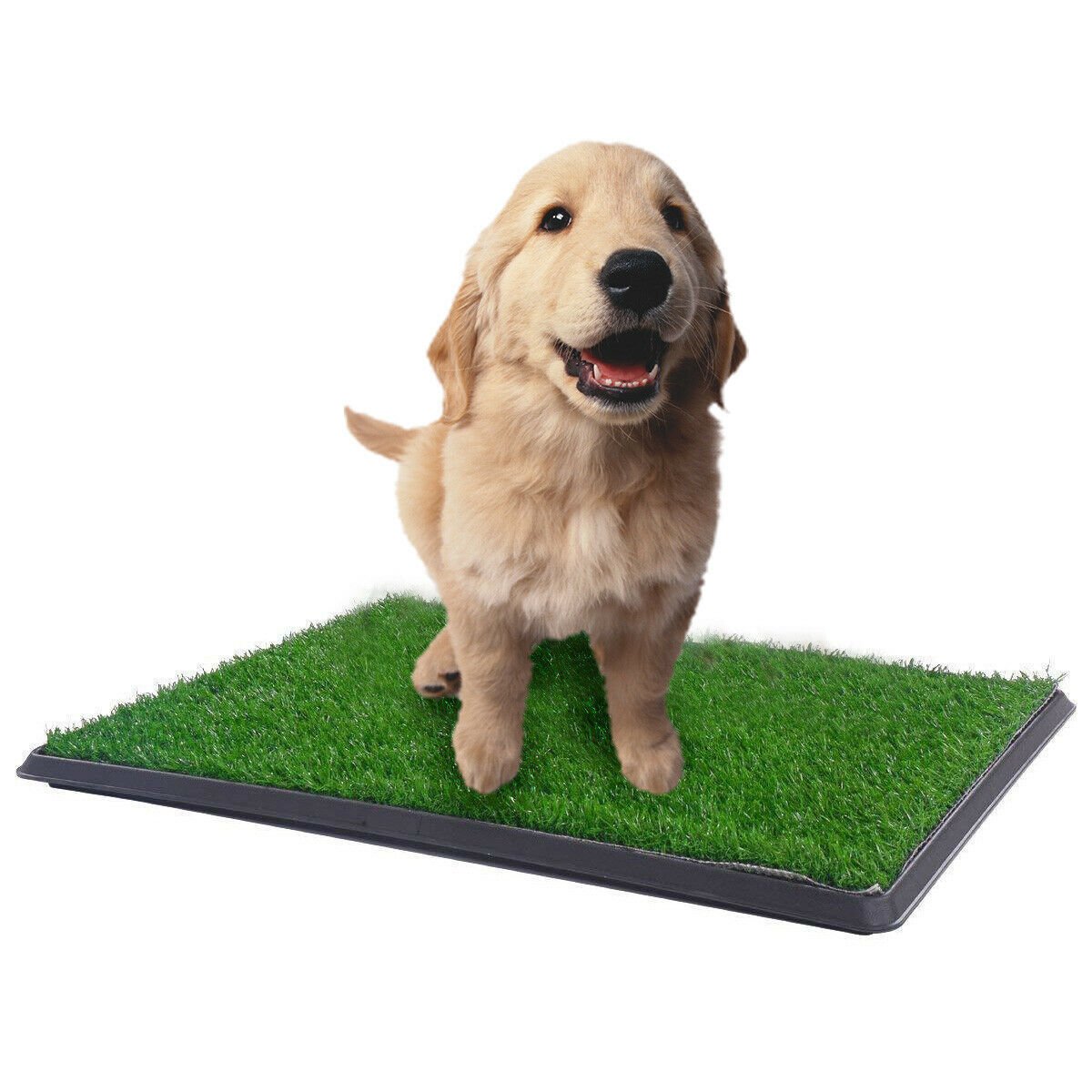 YES4PETS XL Indoor Dog Puppy Toilet Grass Training Mat Loo Pad Potty W 2 Grass - Image 3