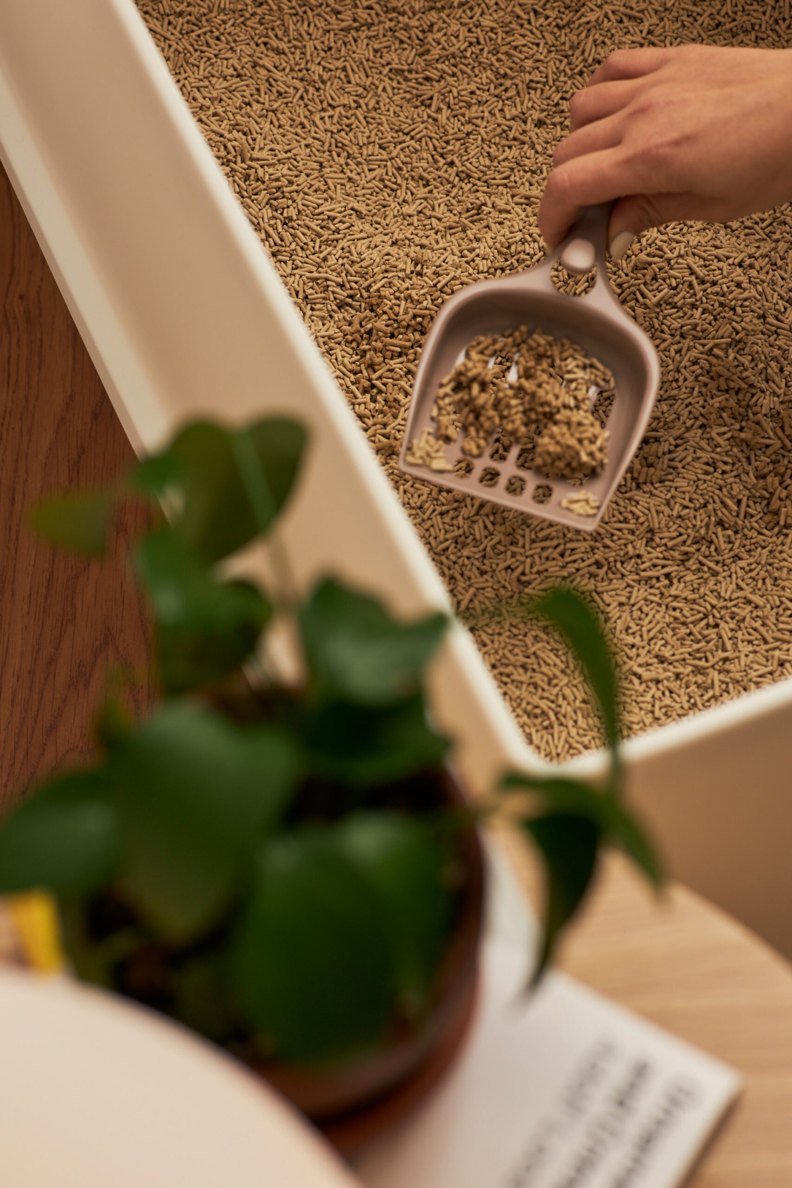 Whisker Wonderland Premium Biodegradable Bamboo Fibre Cat Litter 4KG - Fresh Bamboo Scent | Superior Odour Control, Fast Clumping & Flushable | Pet & Planet Friendly - Image 4