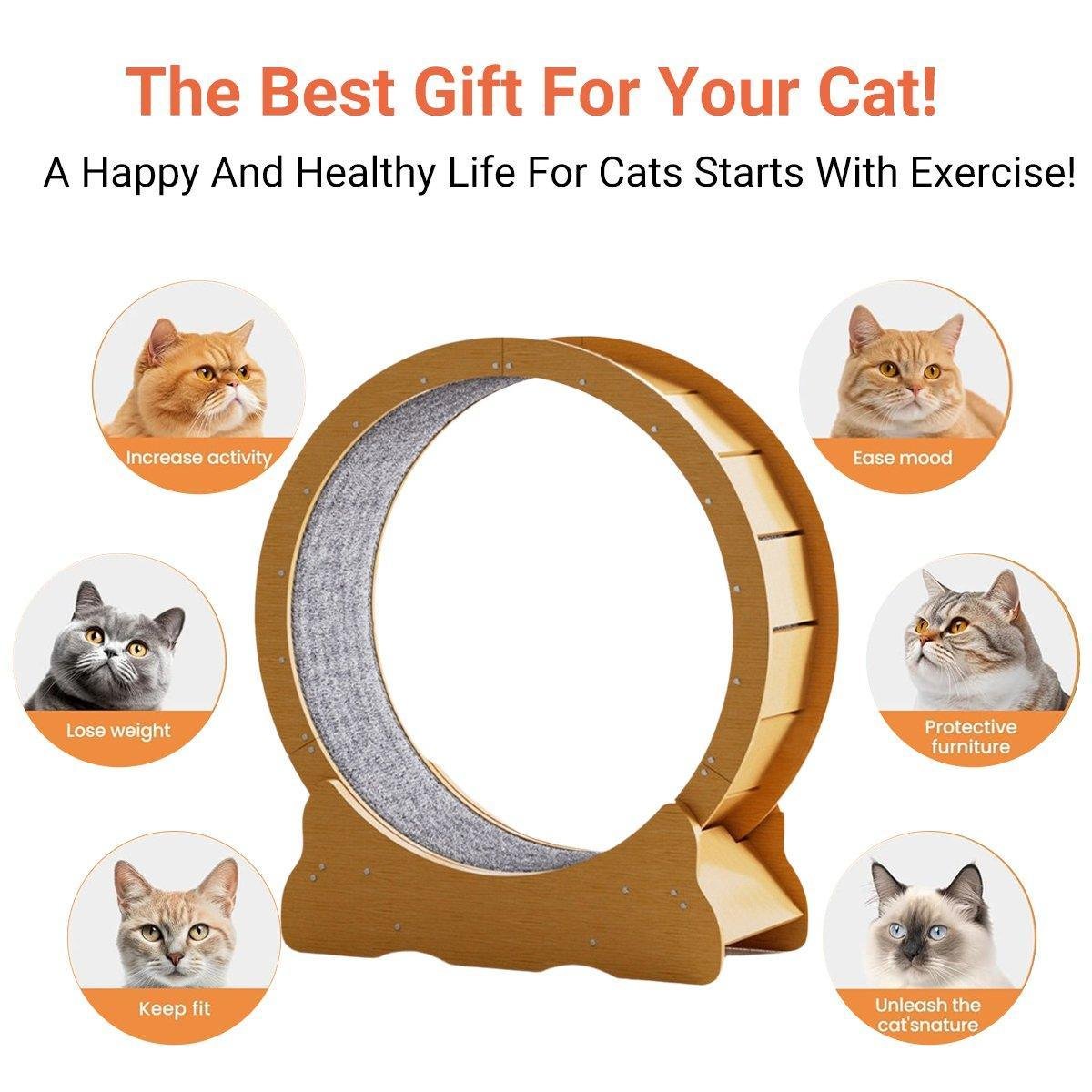 Cat Exercise Wheel Toy Furniture Running Treadmill Exerciser Scratcher Board - Image 4