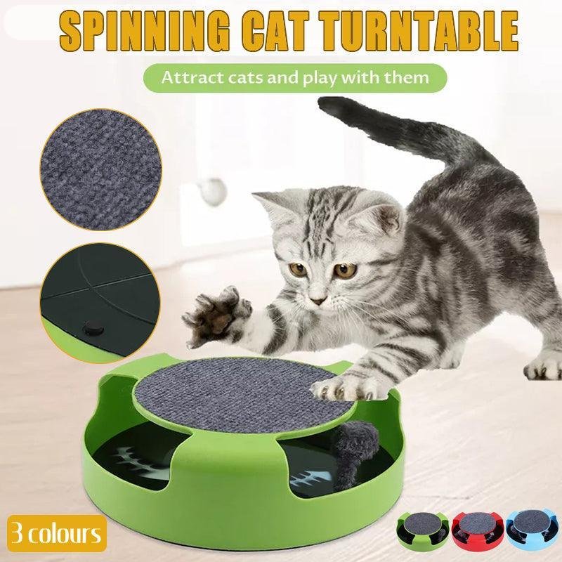 Cat Toy