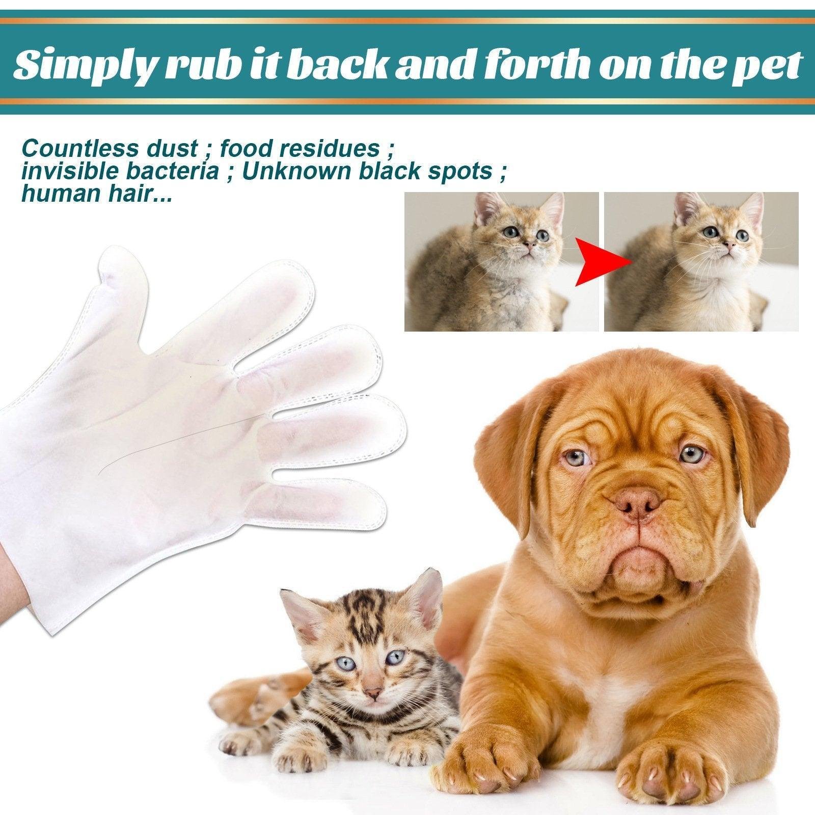 10XPet Cat Dog Dry Washing Gloves Bath Remove Odor Cleaning Decontamination Care - Image 5