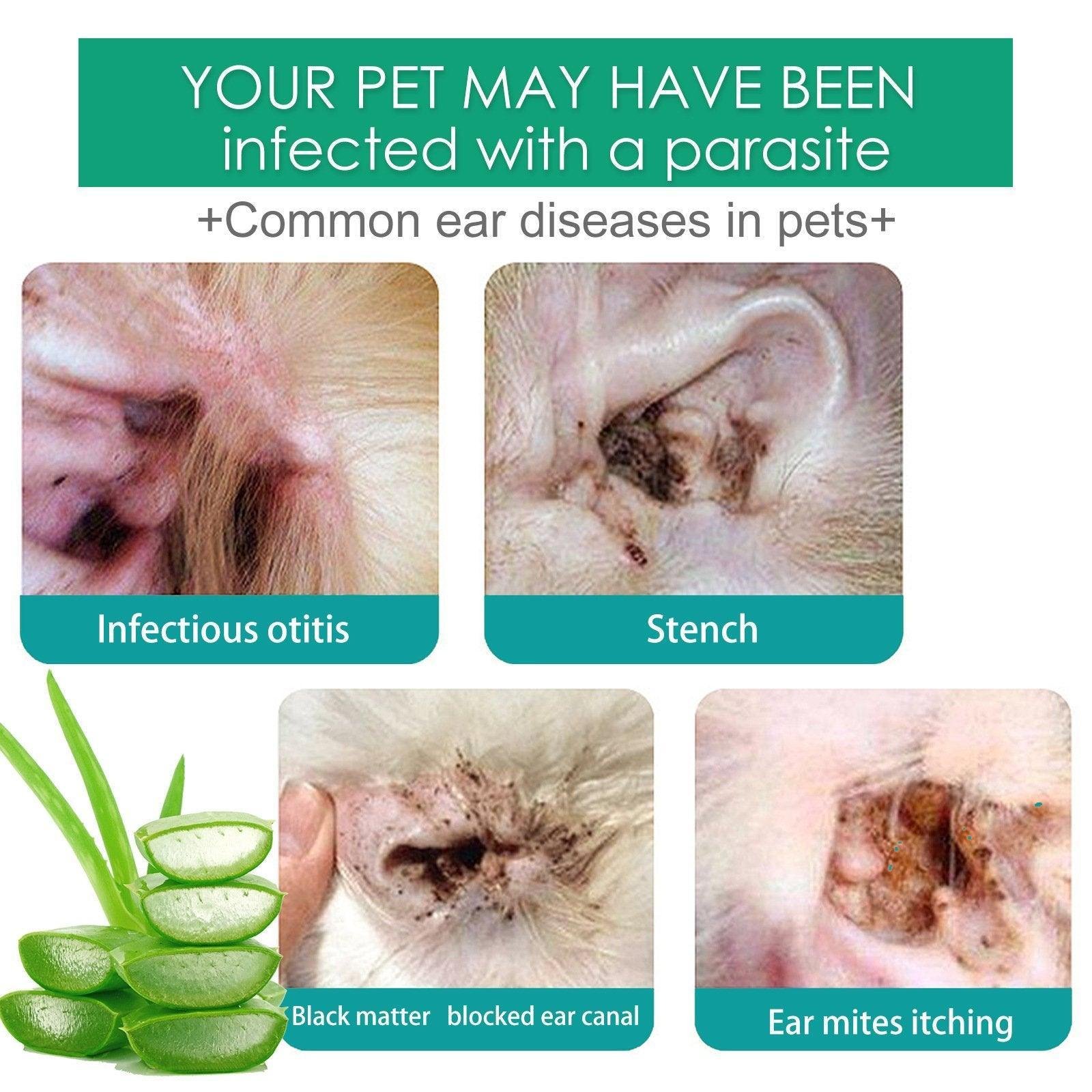 Pet Ear Drops for Cats Dogs Clean Mites Deodorize Itchy Ears Universal Solution - Image 5