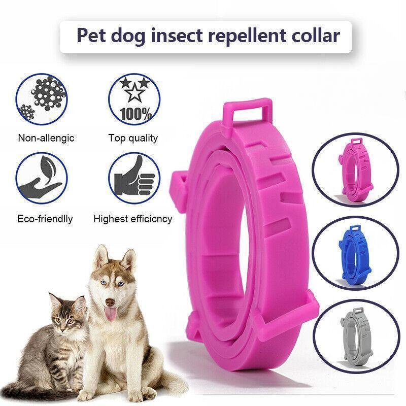 Adjustable Flea and Tick Collar for Dogs and Cats with Natural Repellent - Grey