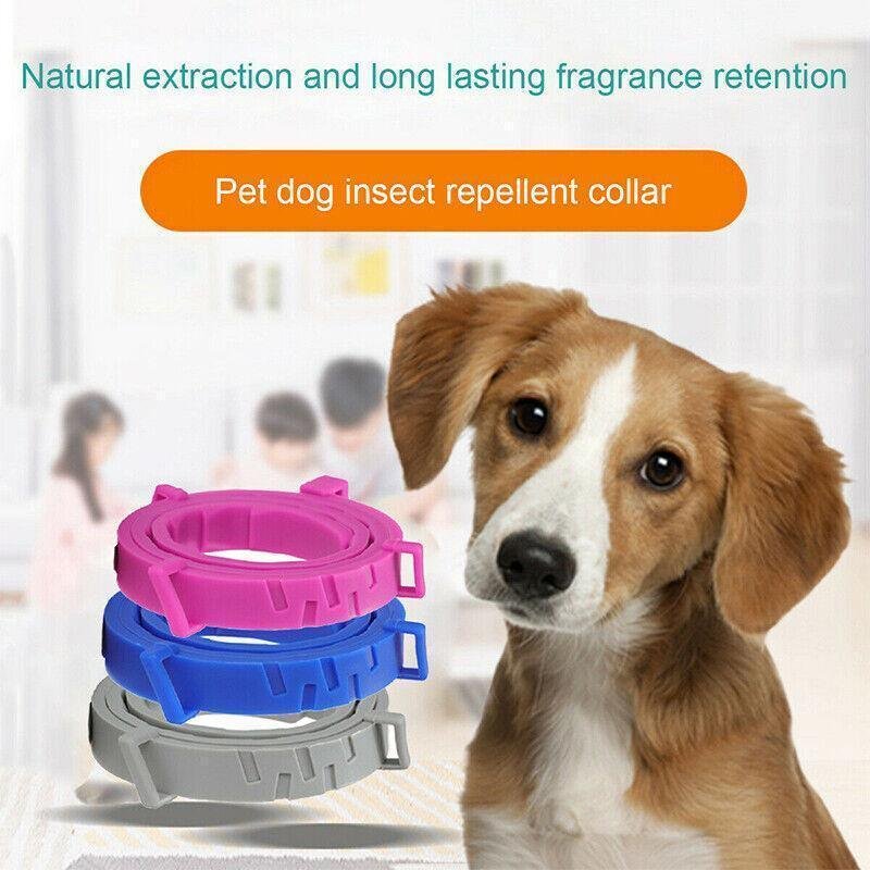 Adjustable Flea and Tick Collar for Dogs and Cats with Natural Repellent - Grey - Image 5
