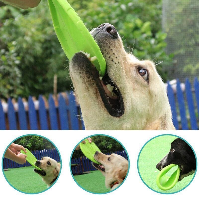Frisbee Toy for Dogs Outdoor Fetch Training Soft Rubber Pet Flying Disc 18cm - Green - Image 5
