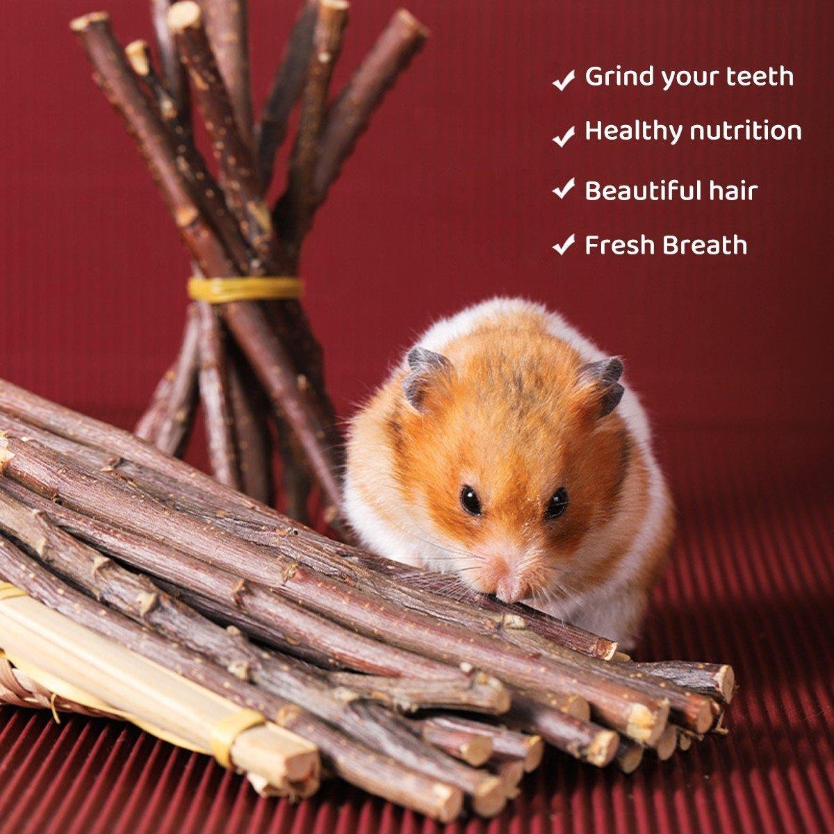 Natural Rabbit Molar Snacks Hamster Branches Sweet Bamboo Grinding Teeth Wood - Black - Image 5