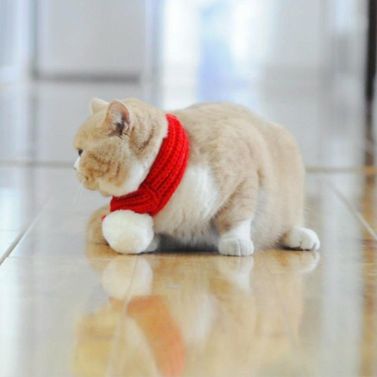 Pet Christmas Wool Scarf Saliva Towel - Size Xs - Image 5