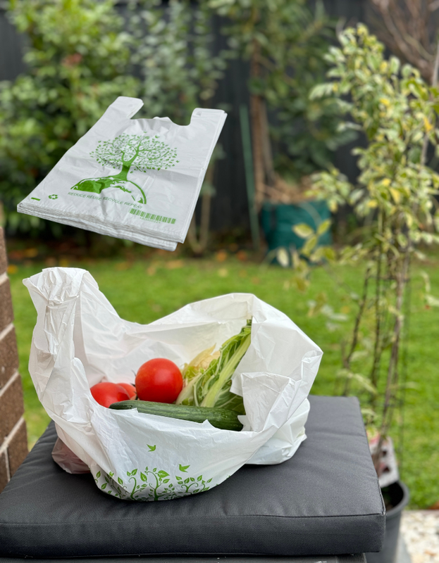 Reusable Carry Bags Eco Plastic Bags Wholesale Printed Large (500 Pcs) - Image 4