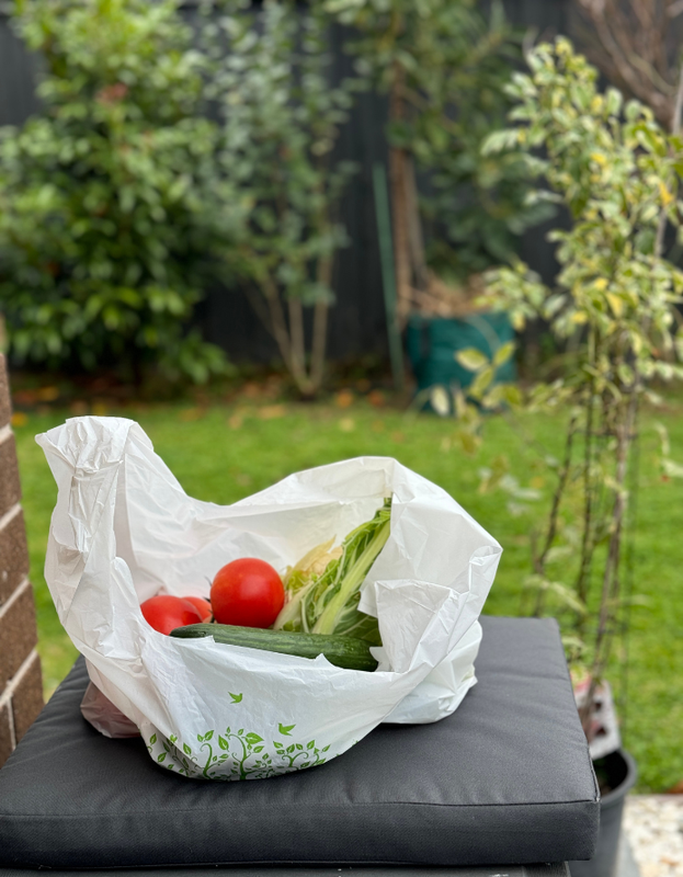 Reusable Carry Bags Eco Plastic Bags Wholesale Printed Large (500 Pcs) - Image 7