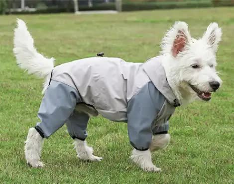 Waterproof Dog Raincoat with Hidden Leash Hole - Windproof and Comfortable for Outdoor Walks, Size:XL (Back Length 35cm/13.77in, Bra 49cm/19.29in) Grey - Image 2