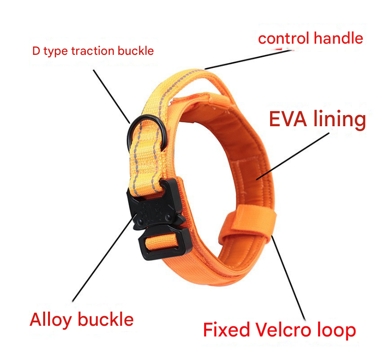 XL Green Hands-Free Dog Leash with Adjustable Waist Belt - Shock Absorbing Bungee Lead - Image 3