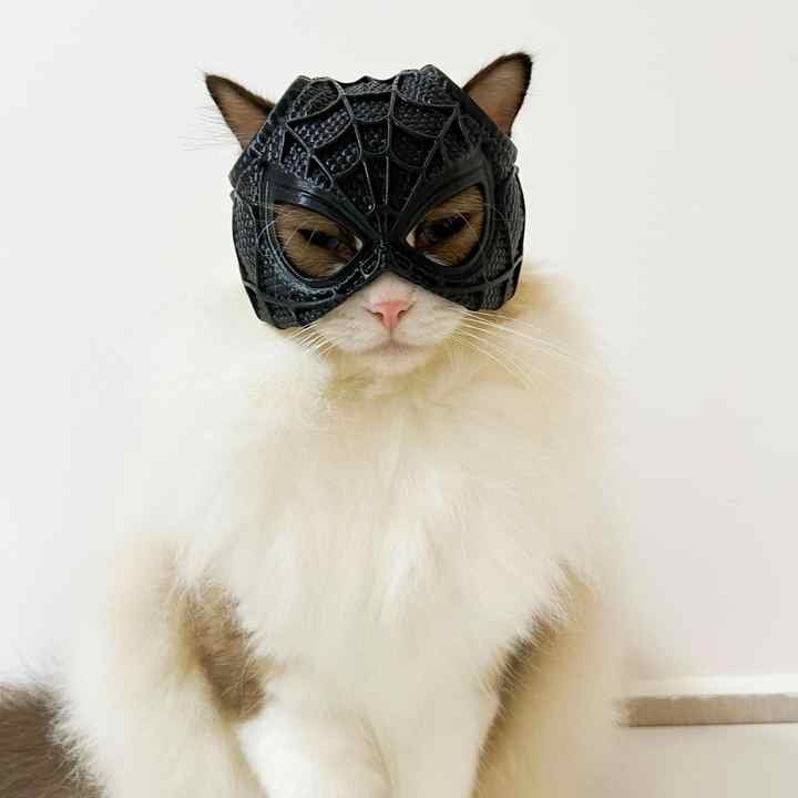 Size M Black And Red Stitching DIY 3D Printed Spider-Man Cat Mask - Mini Decorative Half-Face Mask for Pets - Image 2