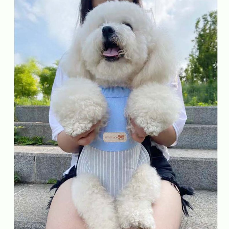 Size S Blue-Gray Patchwork Pet Backpack Dog Carrier Cat Travel Bag - Breathable, Portable & Hands-Free Four-Leg Design - Image 6