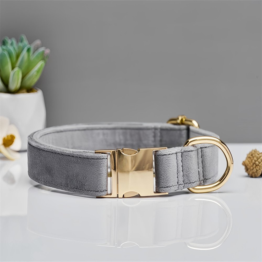 Grey Durable Dog Collar with Metal Buckle - Adjustable Nylon Pet Collar for Small to Large Dogs Size XS - Image 2