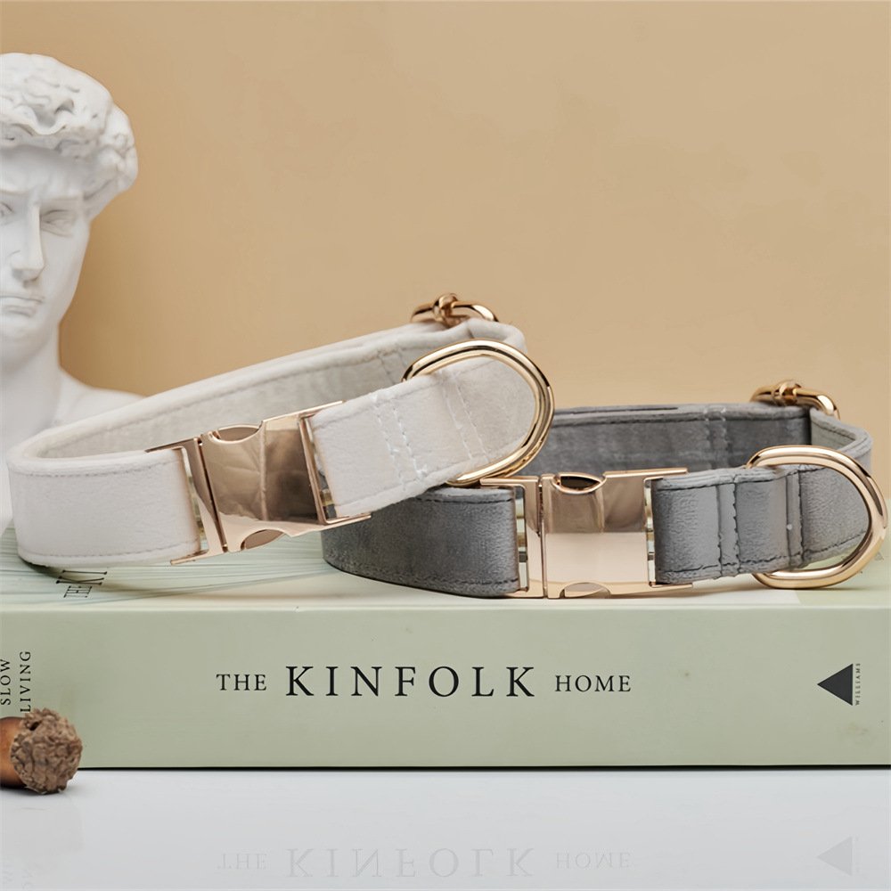 Grey Durable Dog Collar with Metal Buckle - Adjustable Nylon Pet Collar for Small to Large Dogs Size XS - Image 3