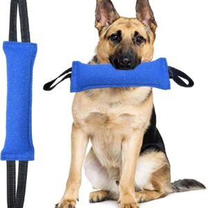 Blue Durable 2-Pack Tug-of-War Dog Training Toy - Tear-Resistant, Safe & Interactive for All Breeds