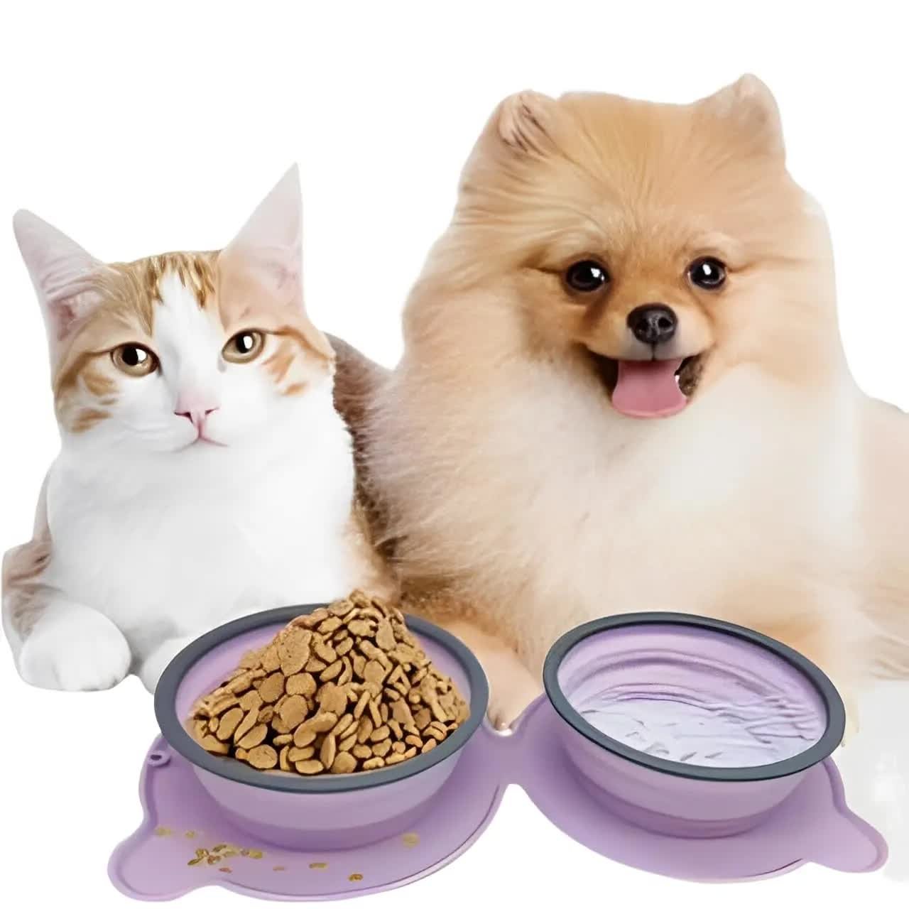 Blue Portable Collapsible Pet Bowl Set - Food-Grade Silicone Double Bowl for Dogs & Cats, Anti-Slip & Easy to Clean - Image 7