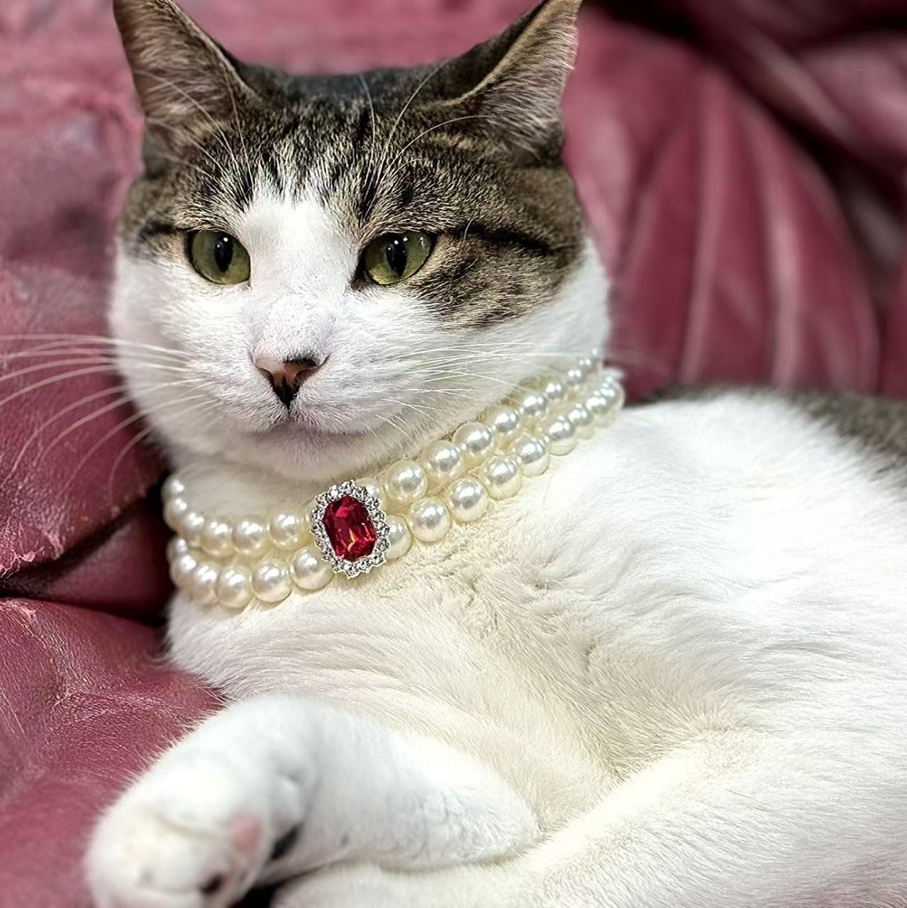3-pcs Red Diamond  Double Strand Pearl & Rhinestone Pet Necklace - Luxury Collar for Cats & Dogs Size L (30-36cm)