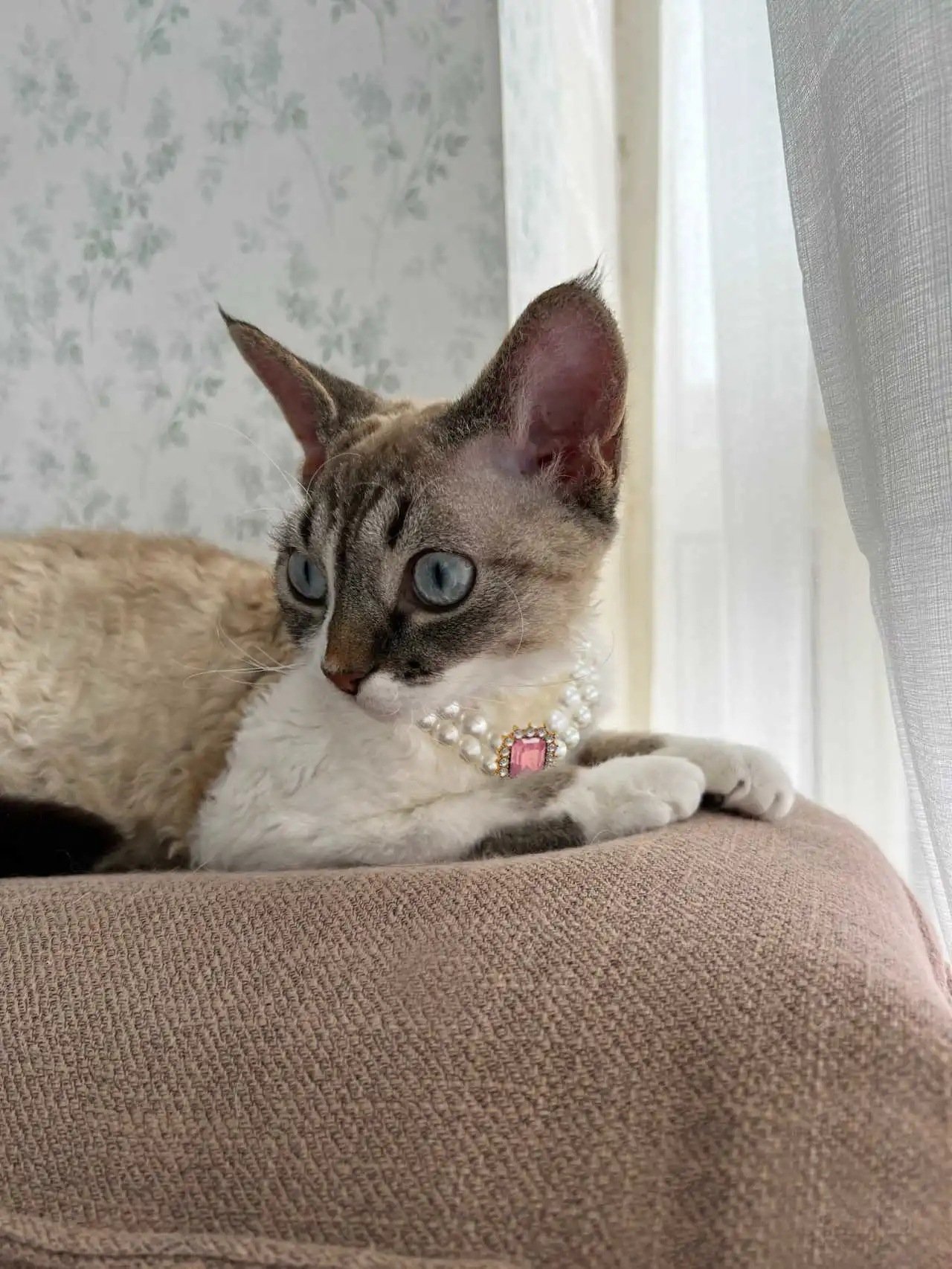 3-pcs Pink Diamond Double Strand Pearl & Rhinestone Pet Necklace - Luxury Collar for Cats & Dogs Size L (30-36cm) - Image 3