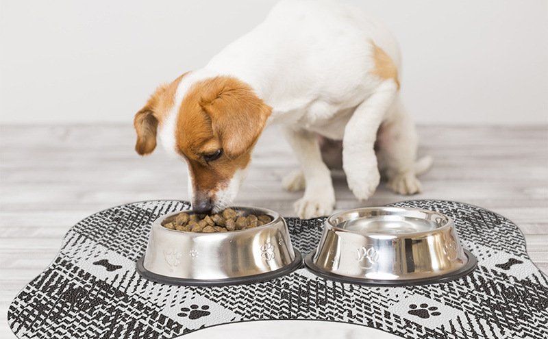 Brown And White Pet Feeding Mat 45x60cm - Anti-Slip, Durable Diatom Mud Mat for Dogs and Cats, Easy to Clean - Image 7