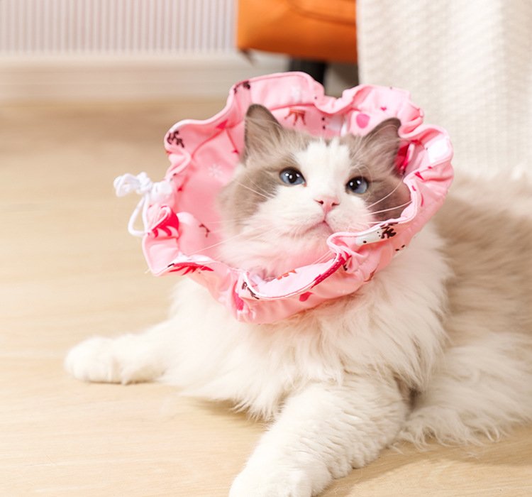 2 Pcs Size L Pink Comfortable Pet Recovery Collar | Waterproof Anti-Lick Collar for Cats & Dogs - Image 5