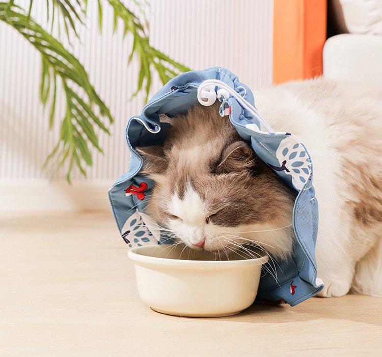 2 Pcs Size M Blue Comfortable Pet Recovery Collar | Waterproof Anti-Lick Collar for Cats & Dogs - Image 5