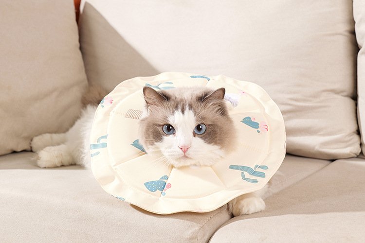 2 Pcs Size M Beige Comfortable Pet Recovery Collar | Waterproof Anti-Lick Collar for Cats & Dogs