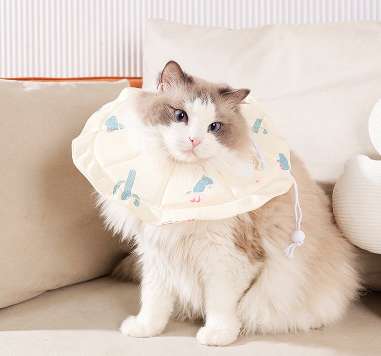 2 Pcs Size M Beige Comfortable Pet Recovery Collar | Waterproof Anti-Lick Collar for Cats & Dogs - Image 4