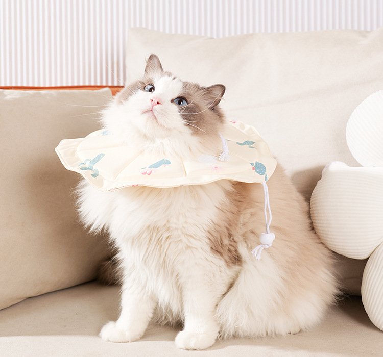 2 Pcs Size M Beige Comfortable Pet Recovery Collar | Waterproof Anti-Lick Collar for Cats & Dogs - Image 5