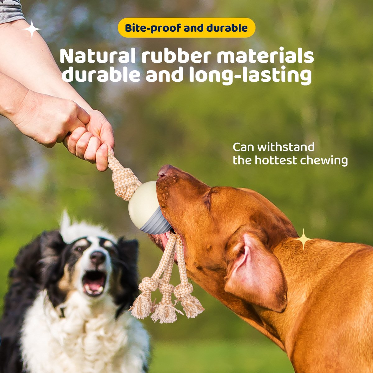 Durable Knot Rope and Ball Dog Toy - Interactive Chew and Tug Play for Pets - Image 4