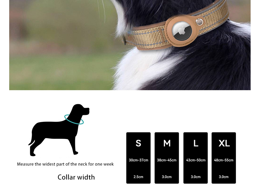 M Blue-green Secure Nylon Dog Collar with Built-in Apple AirTag (not included) Holder Case - Pet Tracker Accessory - Image 2