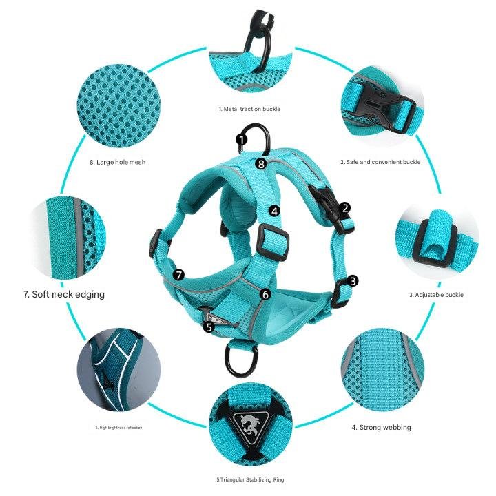 Blue Reflective Mesh Dog Harness and Leash Set - Adjustable No-Pull Vest - S - Image 4
