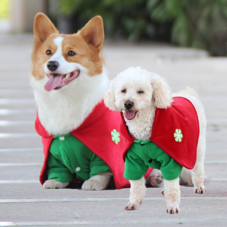 Christmas Dog Costume - Festive Hooded Cape & Green Jumpsuit Outfit (Size : XL) - Image 3