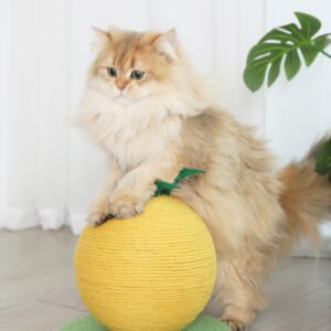Yellow Pineapple And Green Base Fun Fruit Shaped Sisal Cat Scratcher Ball - Durable Scratching Toy with Stable Base