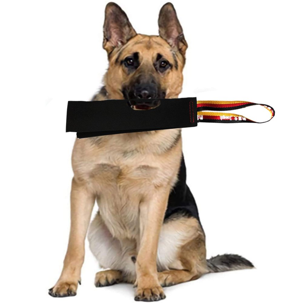 Brown Premium Full-Grain Leather Dog Training Tug - Interactive Bite Rag with Strong Loop Handle for Play & Drive Building - Image 7