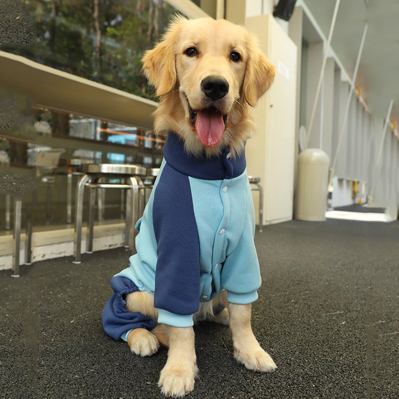 3XL Recommended 20-30 Pounds Blue Autumn-Winter Dog Hoodie for Medium to Large Breeds - Golden Retriever & Labrador