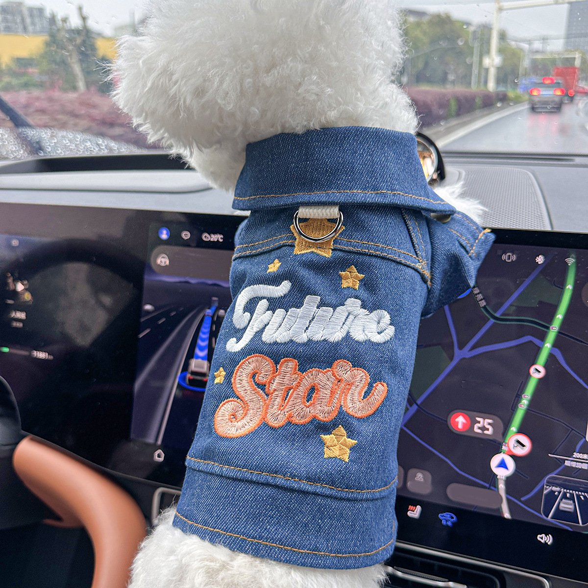 S-Approximately 5kg Future Star Denim Denim Vest Jacket for Dogs and Cats - Spring, Summer, and Autumn Wear