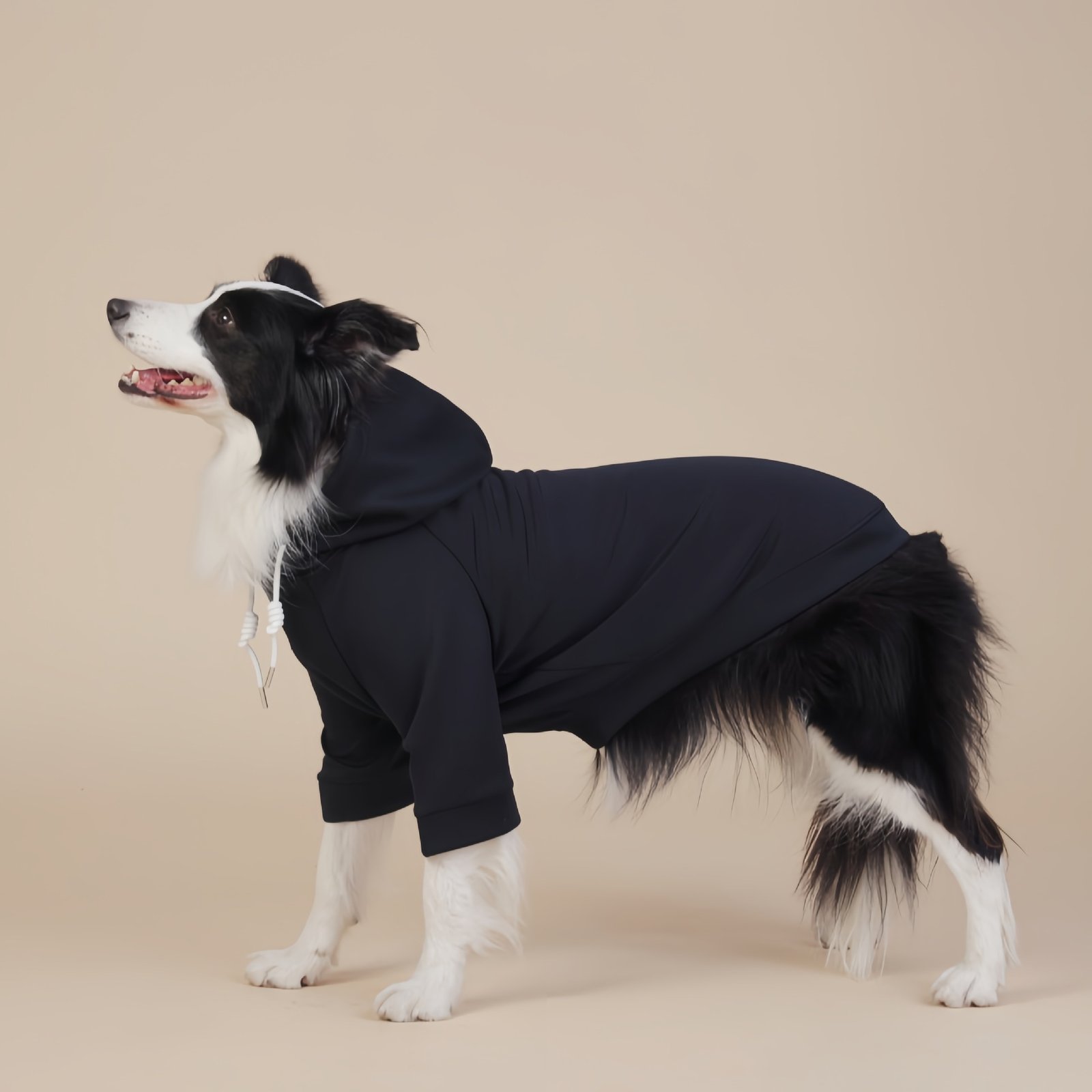 Black Classic Dog Sweatshirt with Hood & Drawstrings - For Large Dogs (Size : 6XL) - Image 2