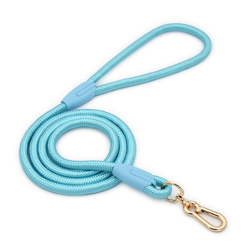 Blue Durable Nylon P-Collar Dog Training Set - Heavy Duty Leash & Martingale Collar (Size : S) - Image 3